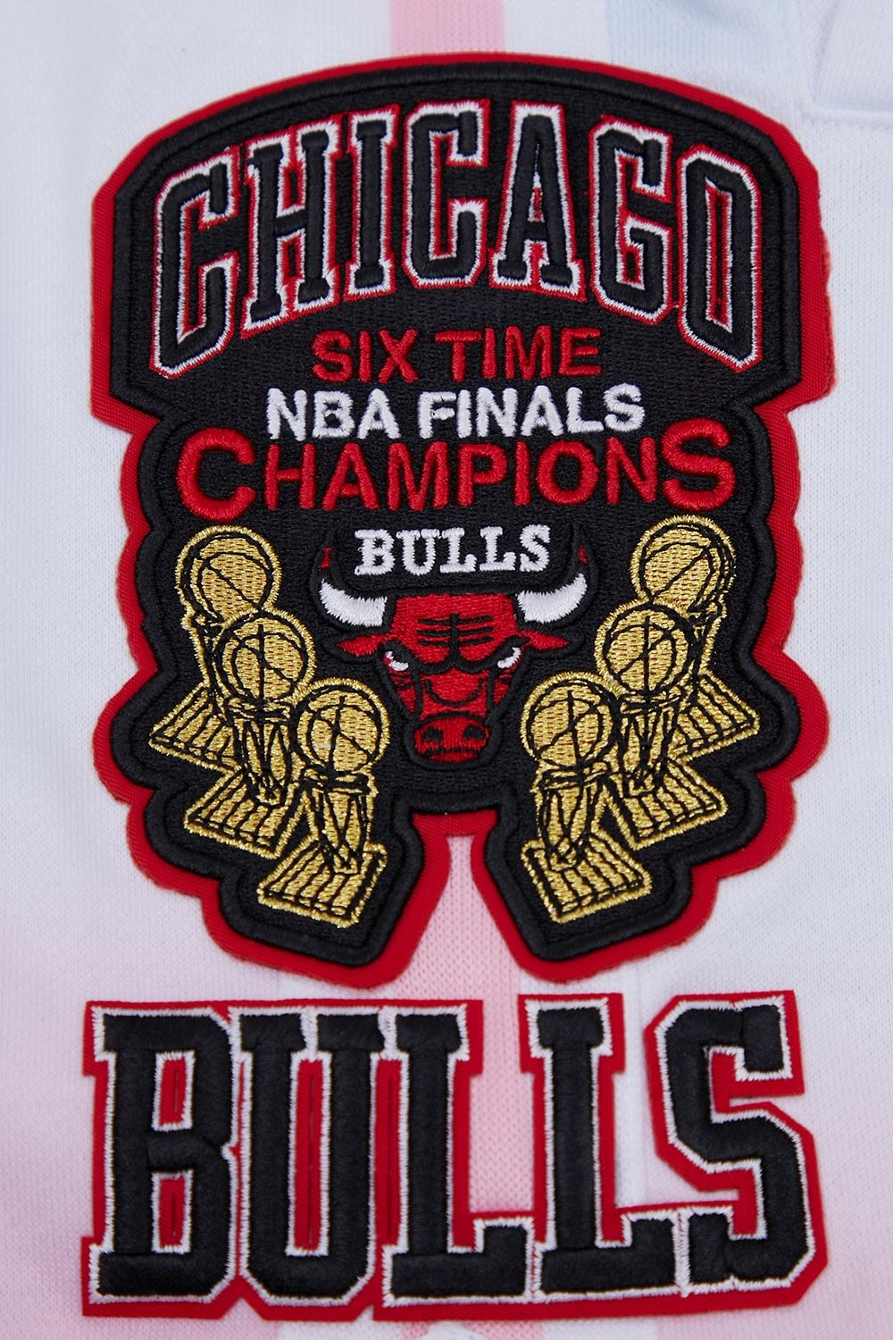 CHICAGO BULLS LOGO PRO TEAM SHORT OMBRE