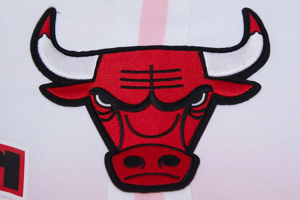 CHICAGO BULLS LOGO PRO TEAM SHORT OMBRE