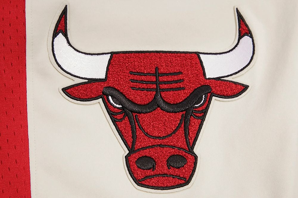 CHICAGO BULLS RETRO CLASSIC DK 2.0 SHORT