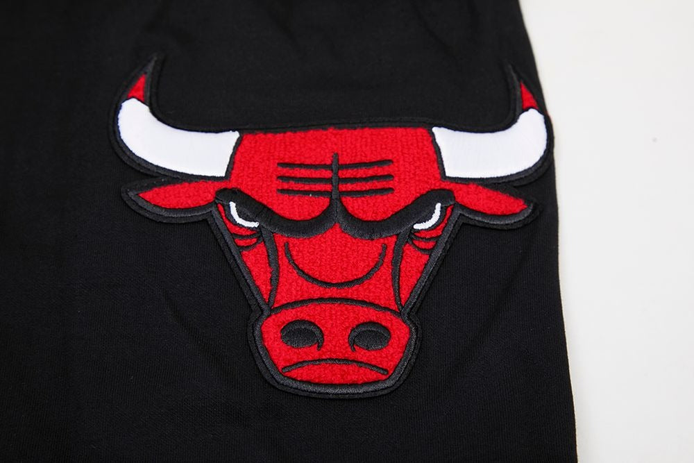 CHICAGO BULLS CLASSIC CHENILLE DK PO HOODIE