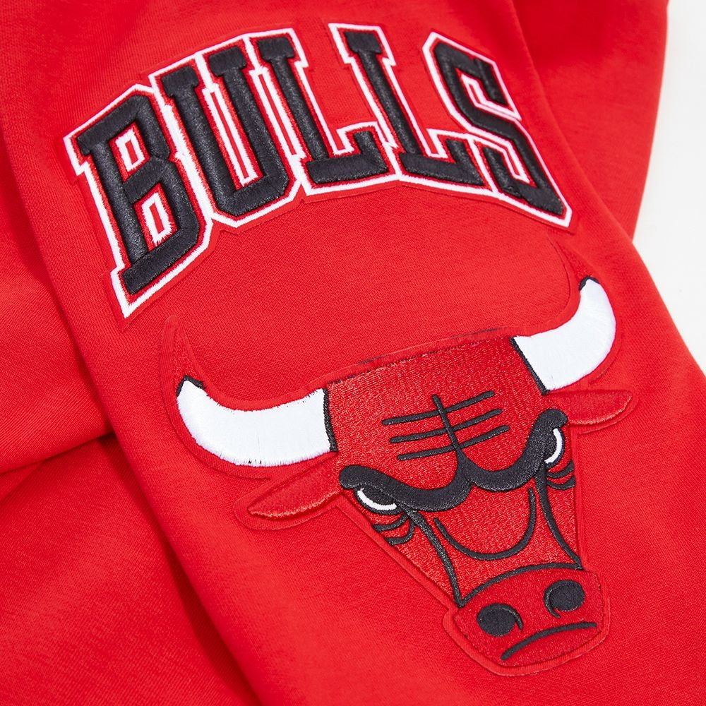 CHICAGO BULLS CLASSIC CHENILLE DK PO HOODIE