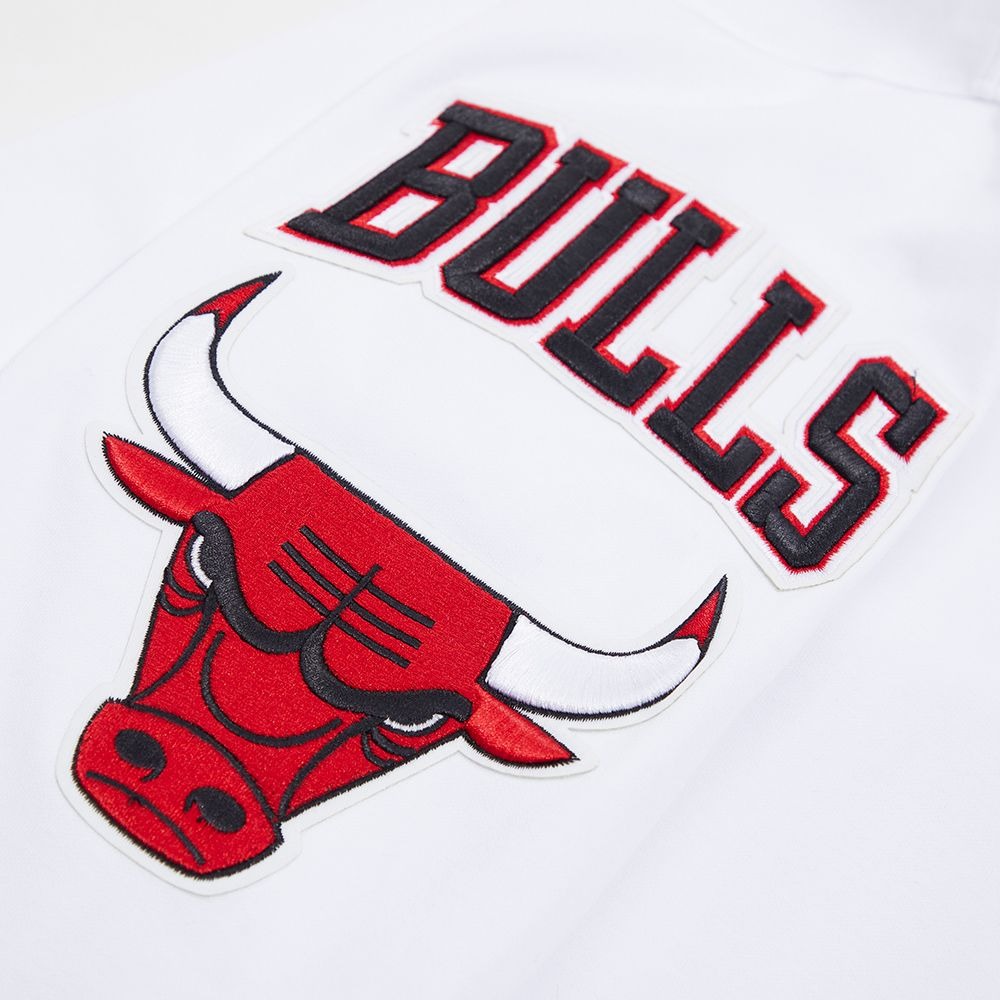 CHICAGO BULLS CLASSIC CHENILLE DK PO HOODIE