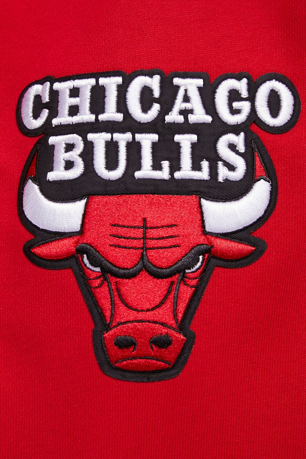 CHICAGO BULLS SCRIPT TAIL RIB FLC PO HOODIE