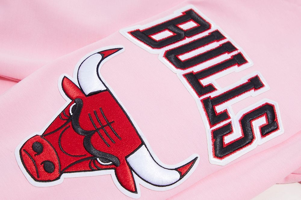 CHICAGO BULLS CLASSIC CHENILLE DK FZ PO HOODIE