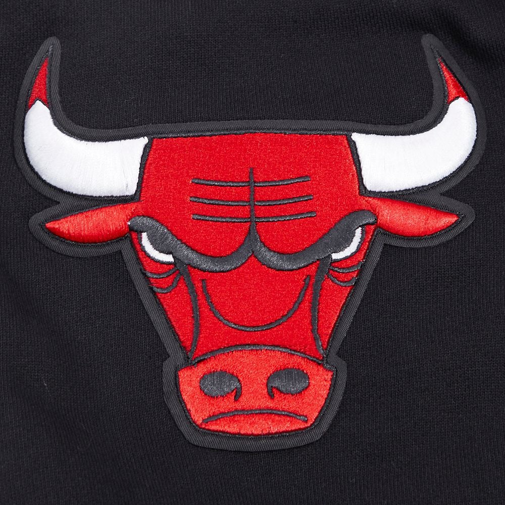 CHICAGO BULLS CLASSIC BRISTLE FLC PO HOODIE