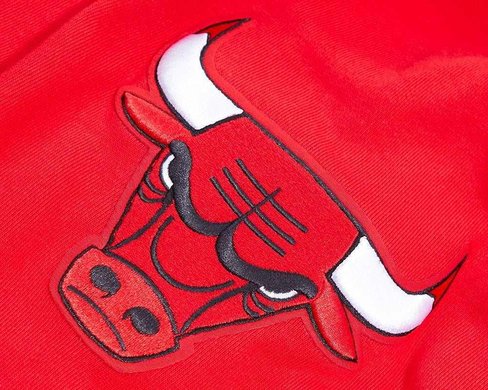 CHICAGO BULLS CLASSIC BRISTLE FLC PO HOODIE