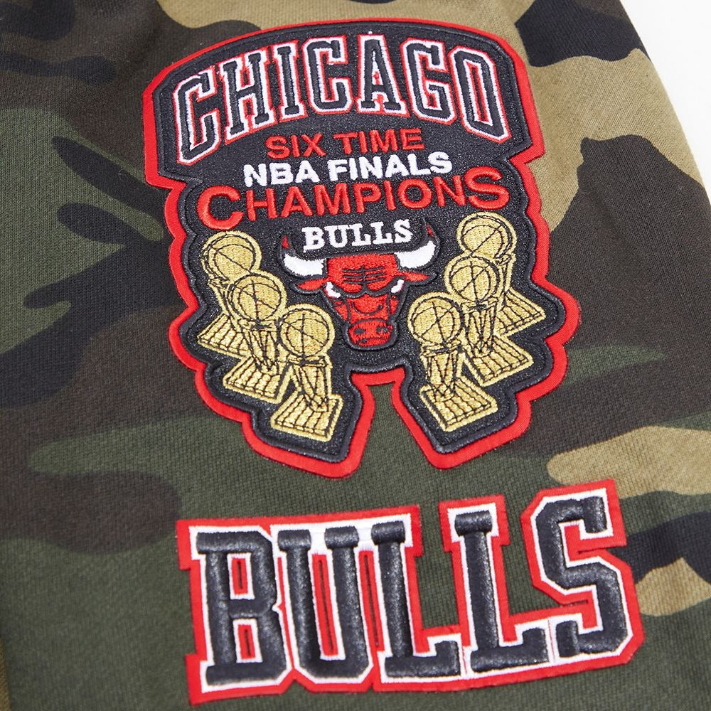 CHICAGO BULLS LOGO PRO TEAM HOODY CAMO