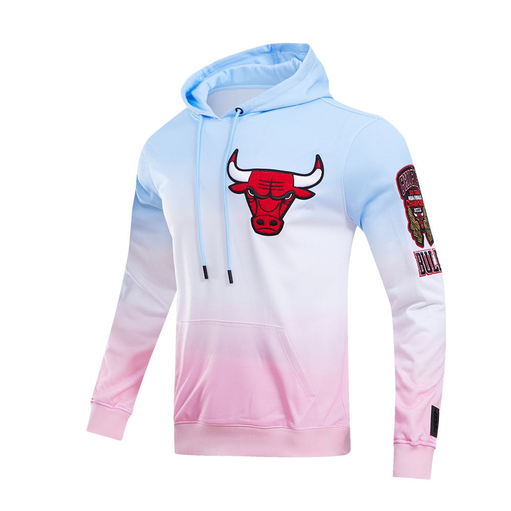 CHICAGO BULLS LOGO PRO TEAM HOODY OMBRE