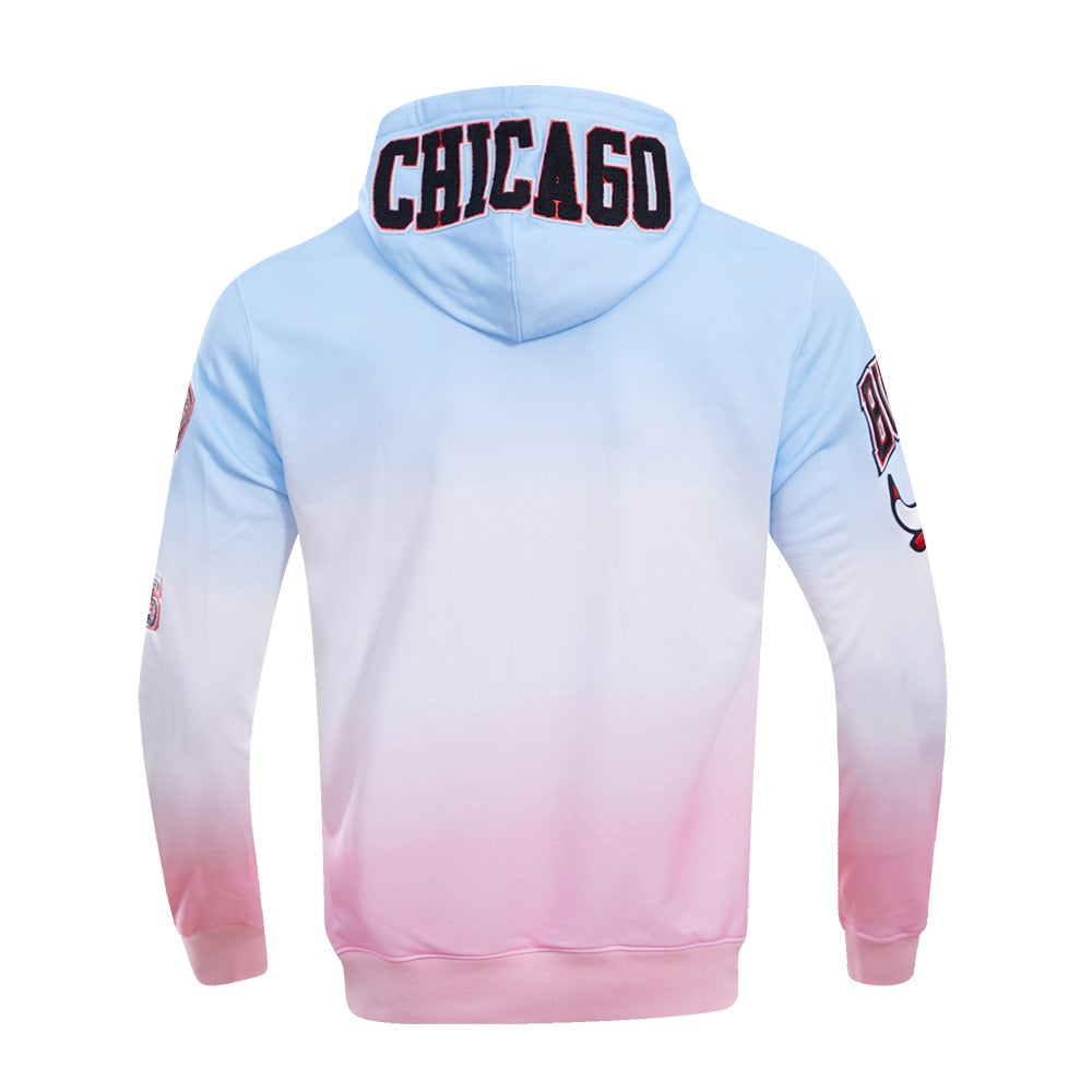 CHICAGO BULLS LOGO PRO TEAM HOODY OMBRE