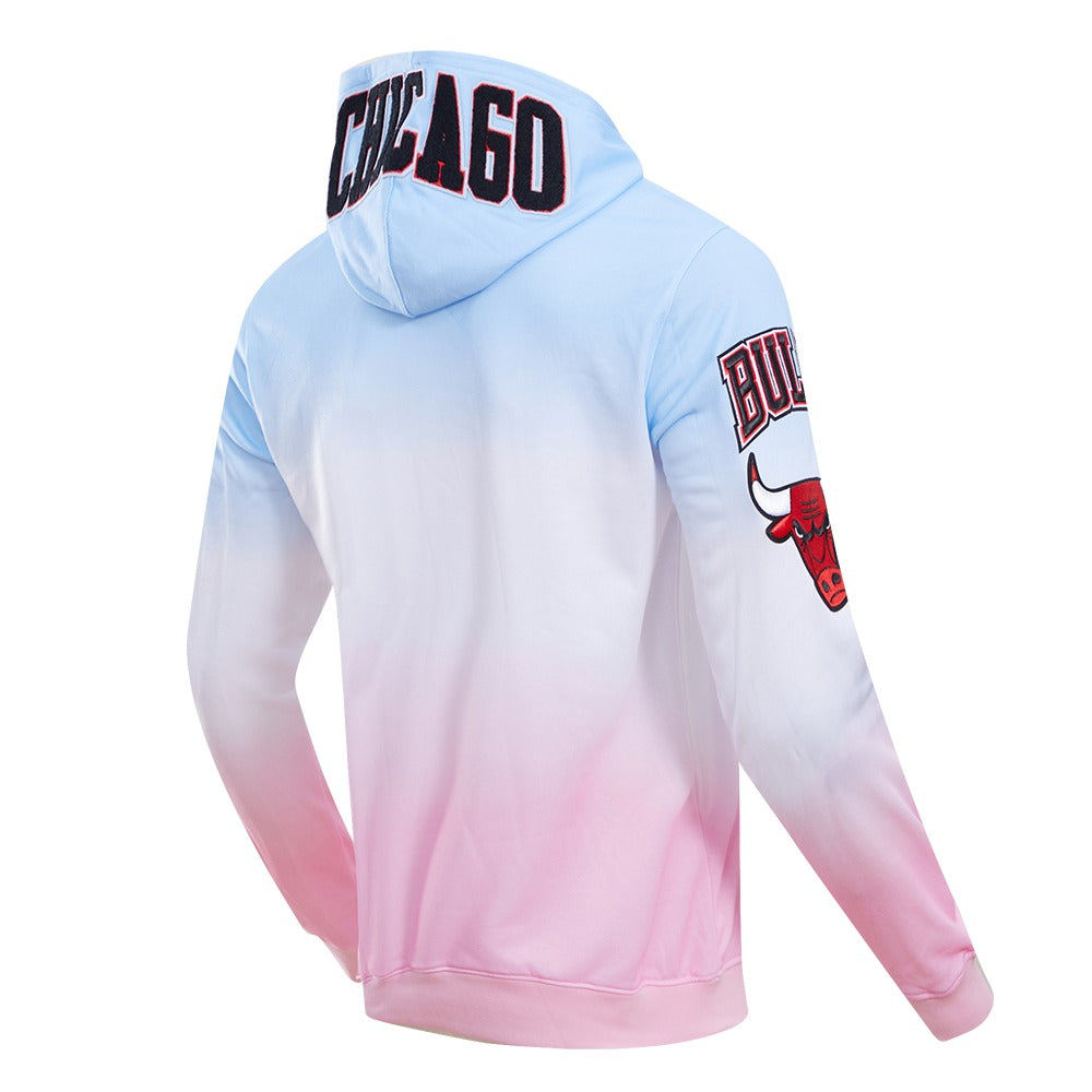 CHICAGO BULLS LOGO PRO TEAM HOODY OMBRE