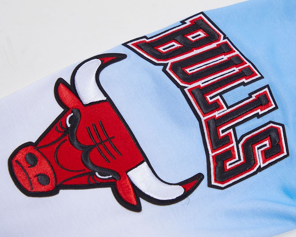 CHICAGO BULLS LOGO PRO TEAM HOODY OMBRE