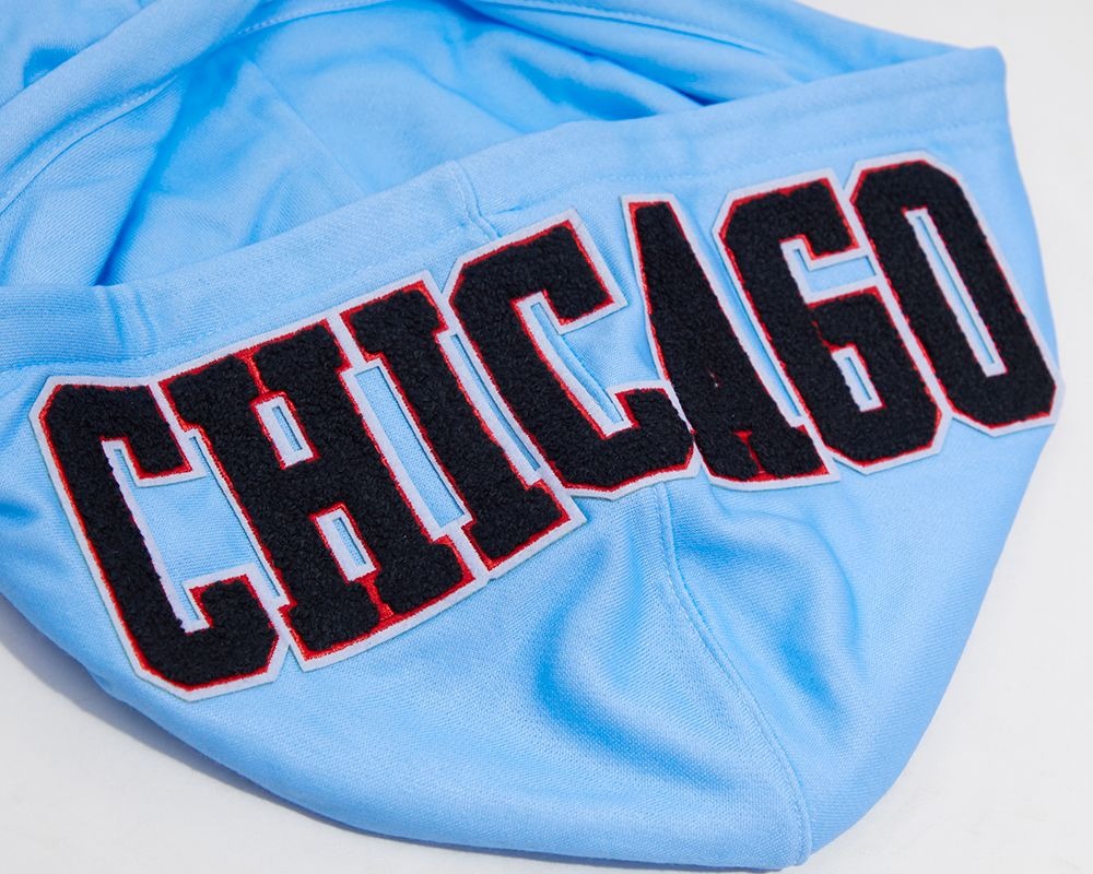 CHICAGO BULLS LOGO PRO TEAM HOODY OMBRE