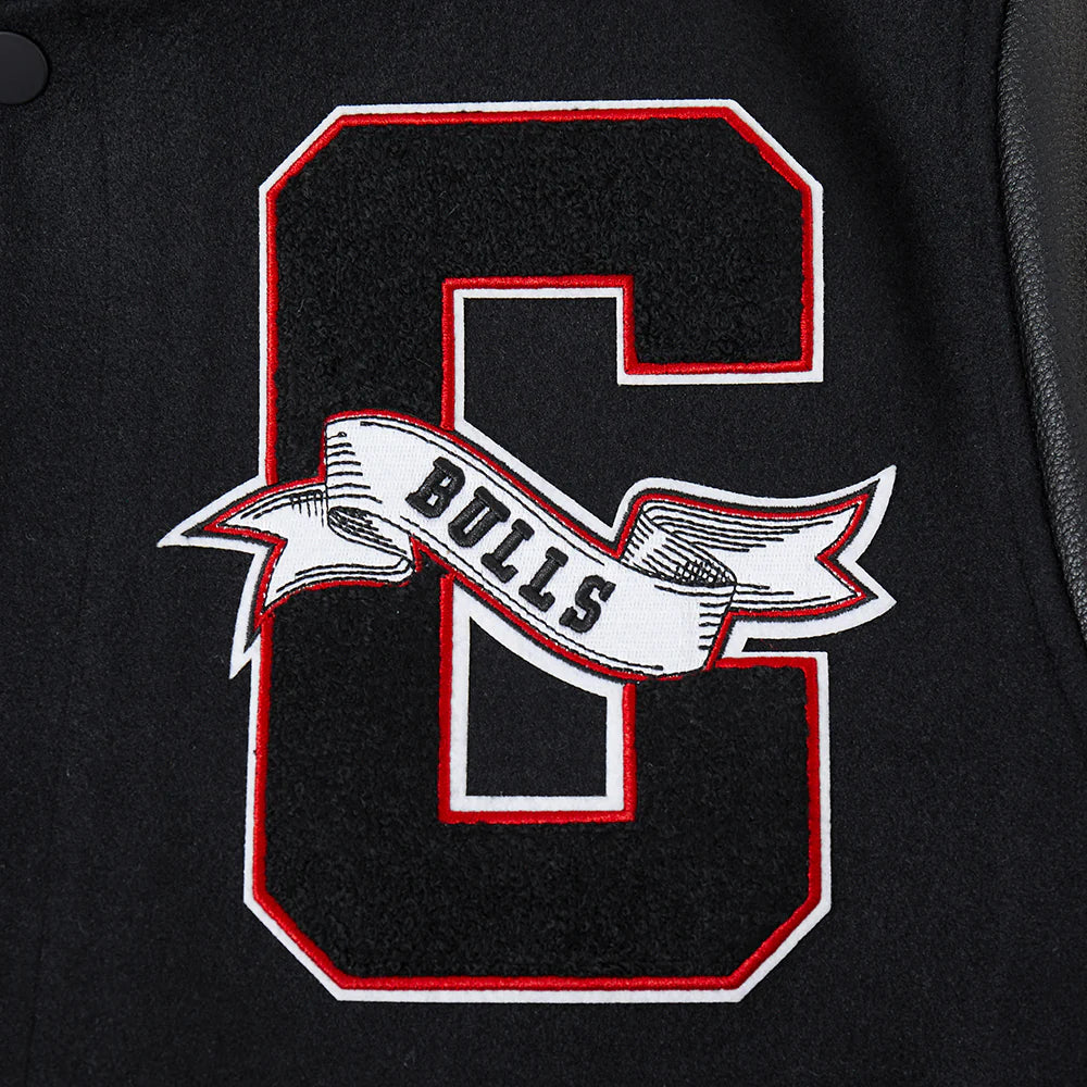 NBA CHICAGO BULLS TEAM PENNANTS MEN'S RIB WOOL VARSITY JACKET