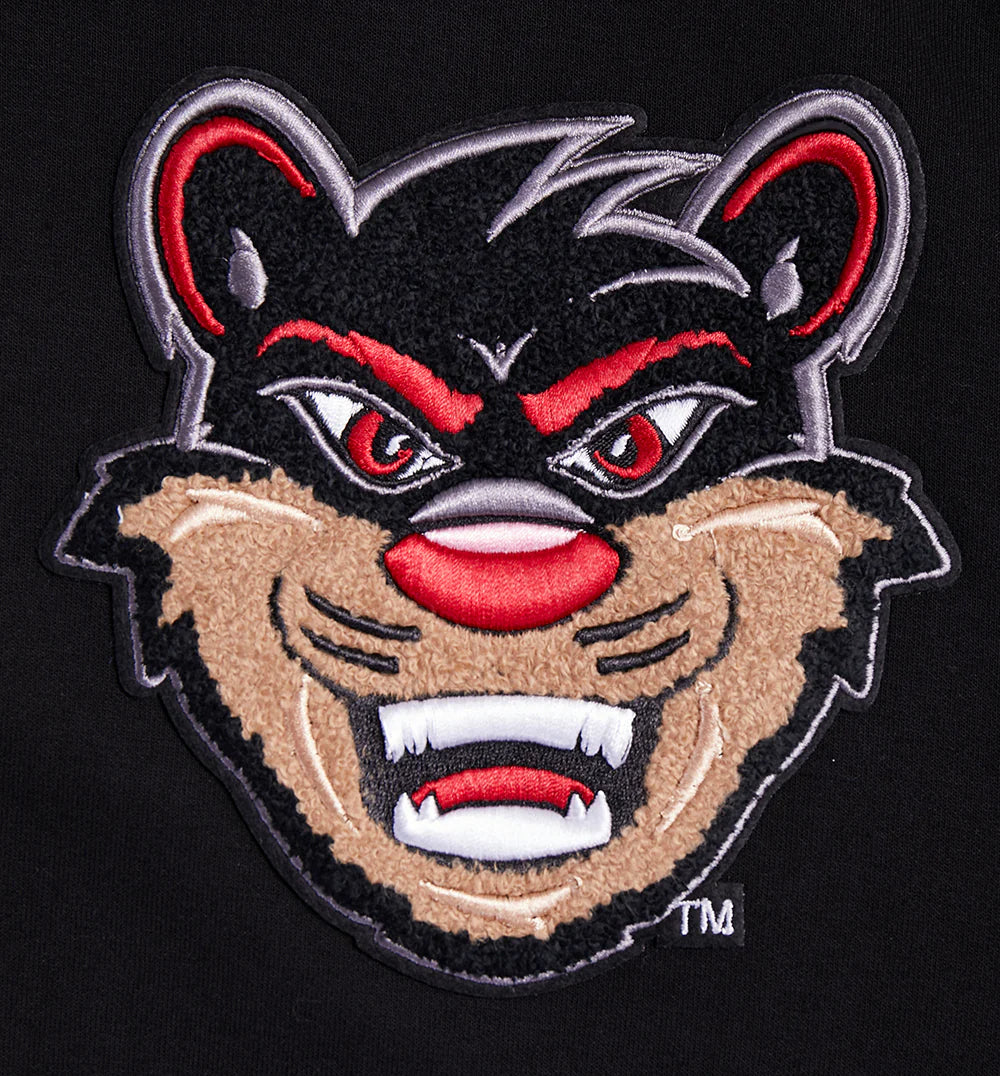 UNIVERSITY OF CINCINNATI CLASSIC MEN'S PULLOVER HOODIE