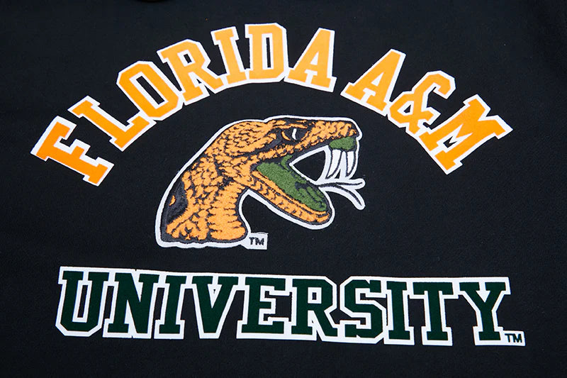 FLORIDA A&M UNIVERSITY CLASSIC MEN'S STACKED LOGO PULLOVER HOODIE