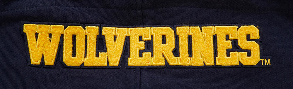 UNIVERSITY OF MICHIGAN CLASSIC MEN'S PULLOVER HOODIE