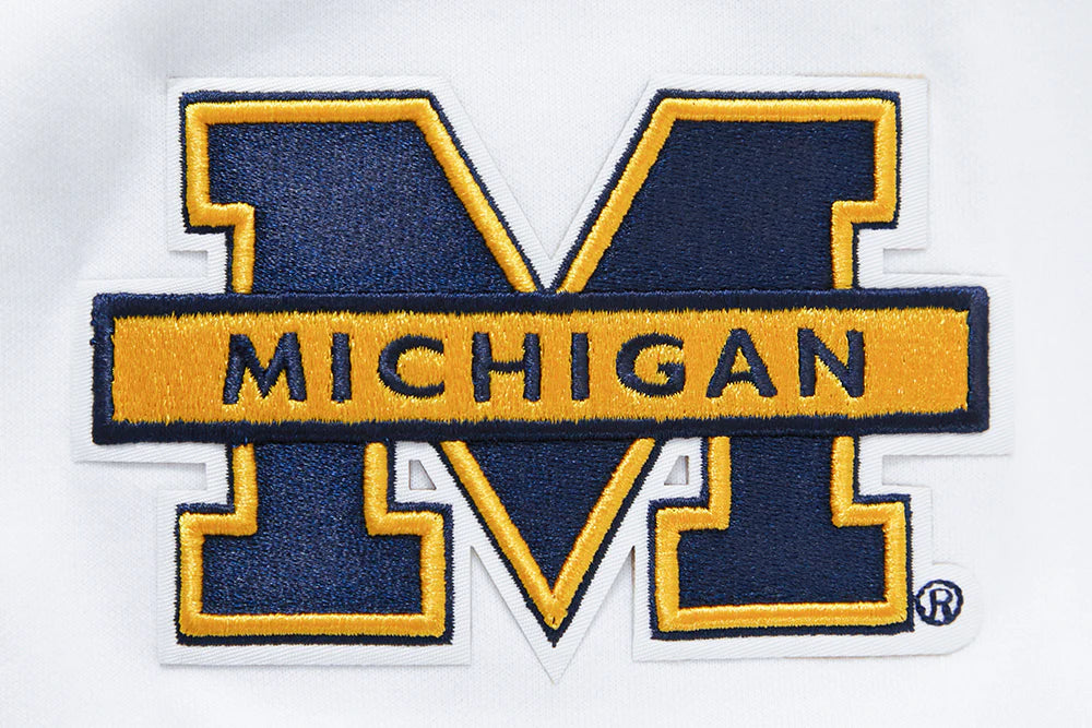 UNIVERSITY OF MICHIGAN CLASSIC MEN'S PO HOODIE