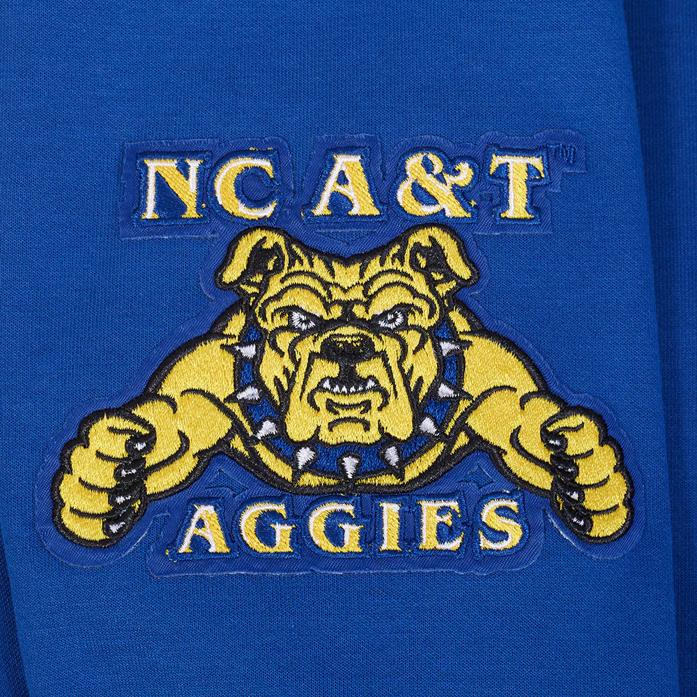 NORTH CAROLINA A&T STATE UNIVERSITY CLASSIC DOUBLE KNIT PULLOVER HOODIE