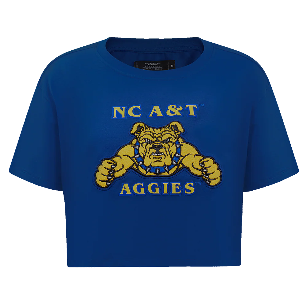 NORTH CAROLINA A&T STATE UNIVERSITY CLASSIC WOMEN'S SINGLE JERSEY BOXY TEE
