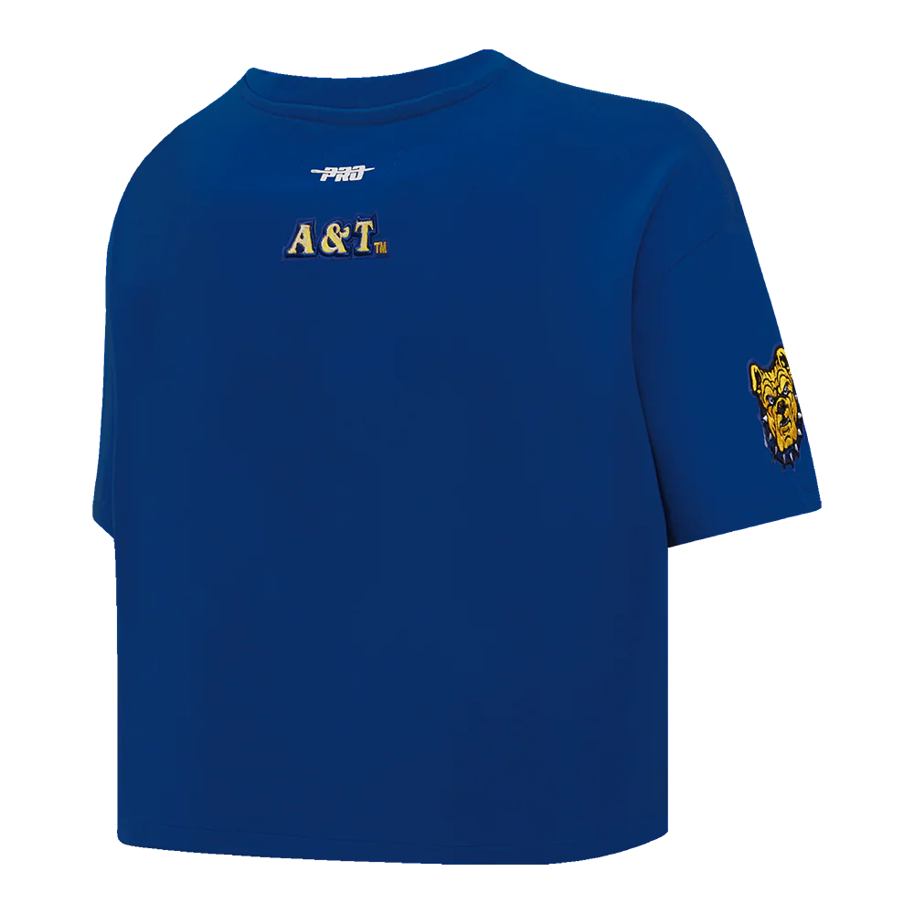 NORTH CAROLINA A&T STATE UNIVERSITY CLASSIC WOMEN'S SINGLE JERSEY BOXY TEE