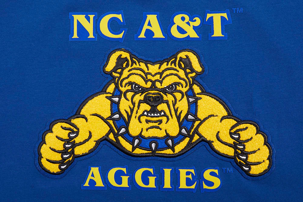 NORTH CAROLINA A&T STATE UNIVERSITY CLASSIC WOMEN'S SINGLE JERSEY BOXY TEE