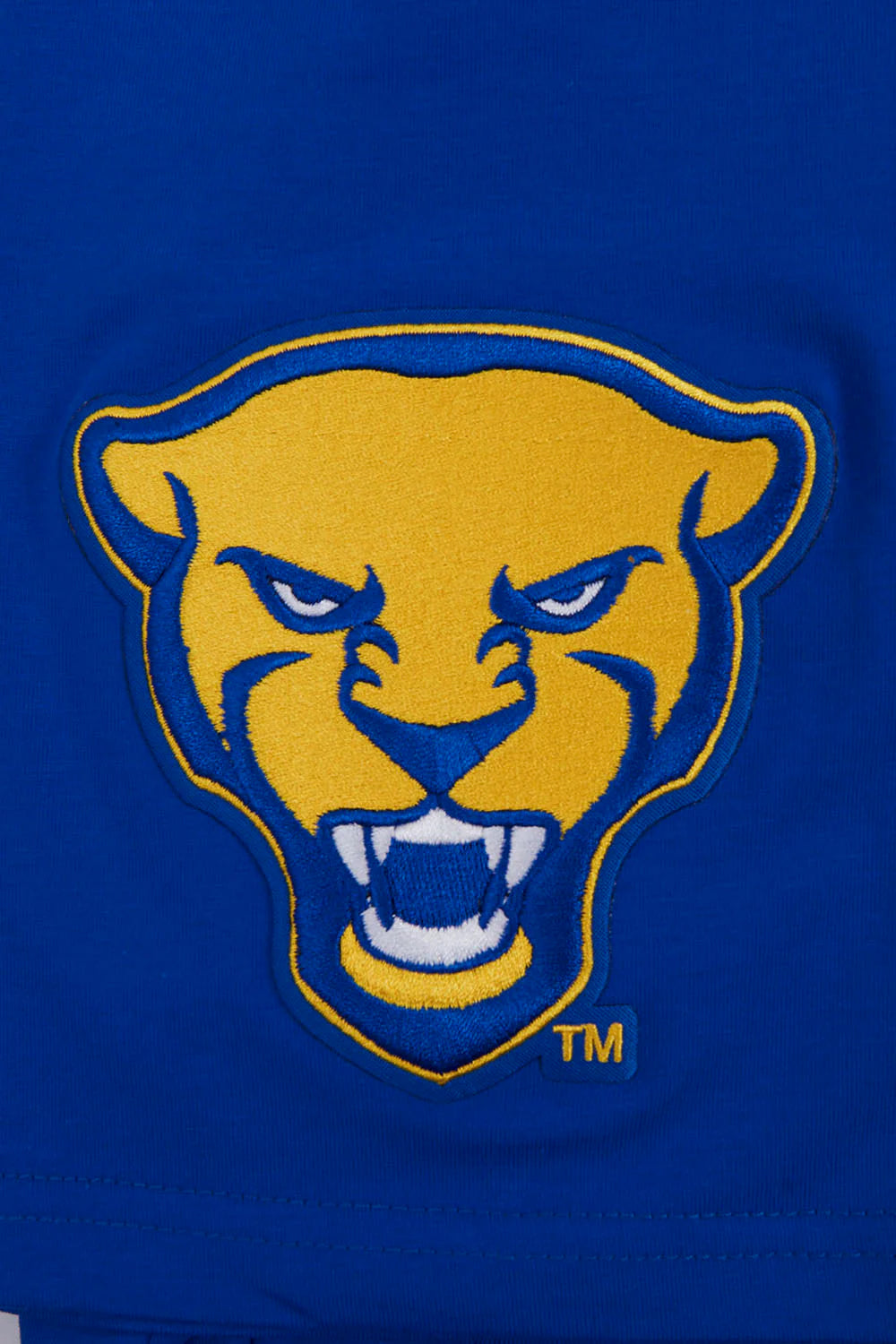 UNIVERSITY OF PITTSBURGH CLASSIC MEN'S TEE