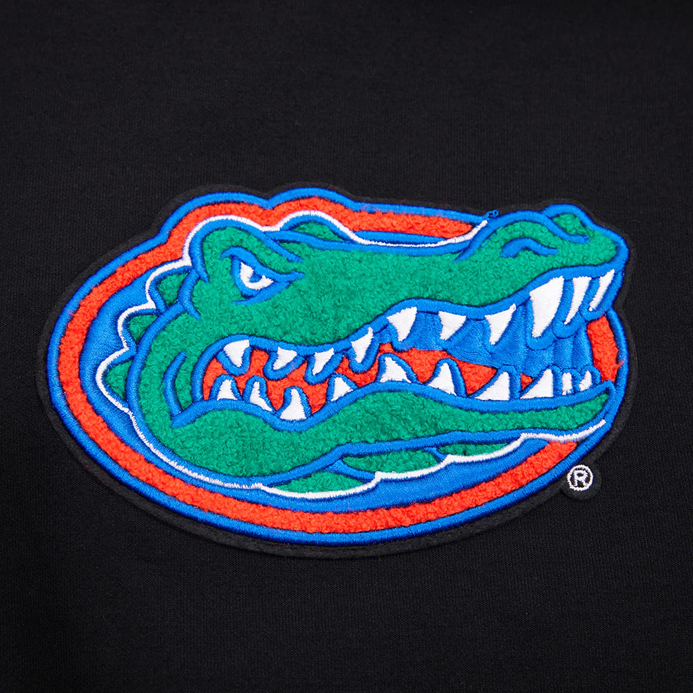UNIVERSITY OF FLORIDA CLASSIC MEN'S PULLOVER HOODIE