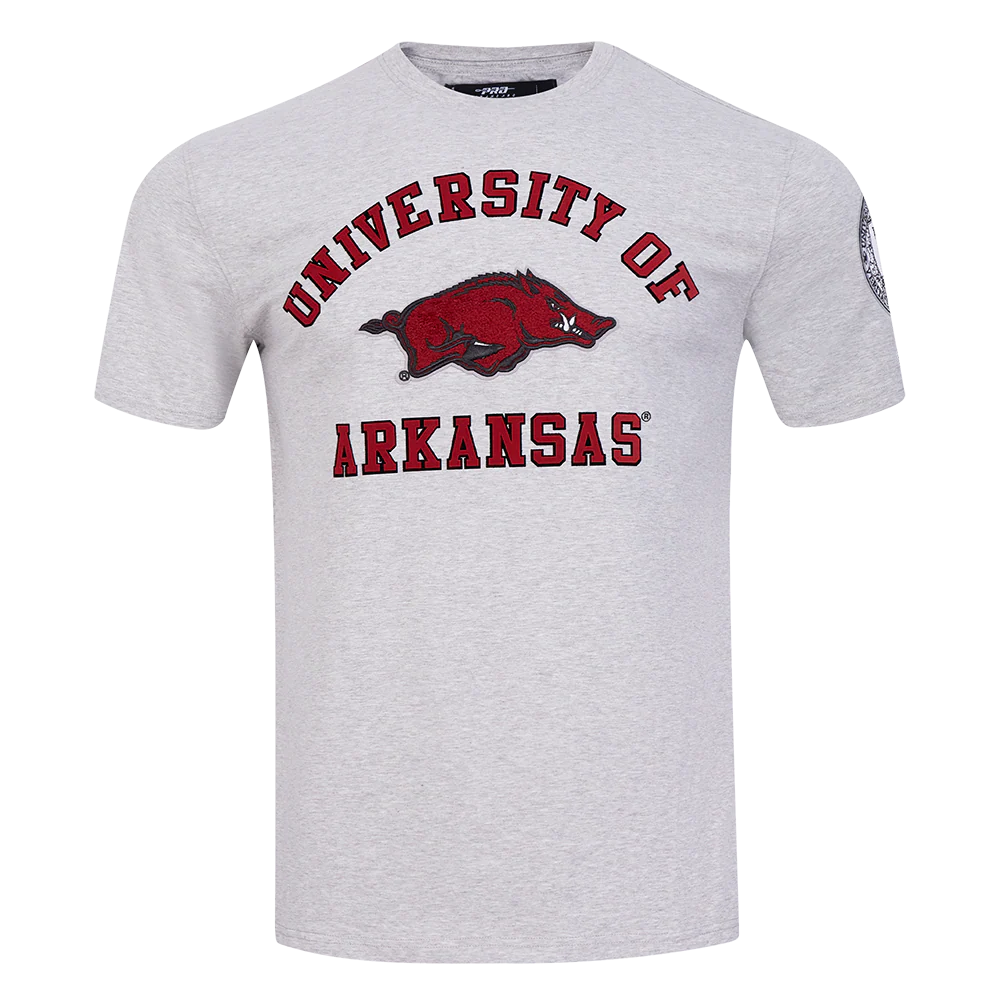 UNIVERSITY OF ARKANSAS CLASSIC MEN'S STACKED LOGO TEE