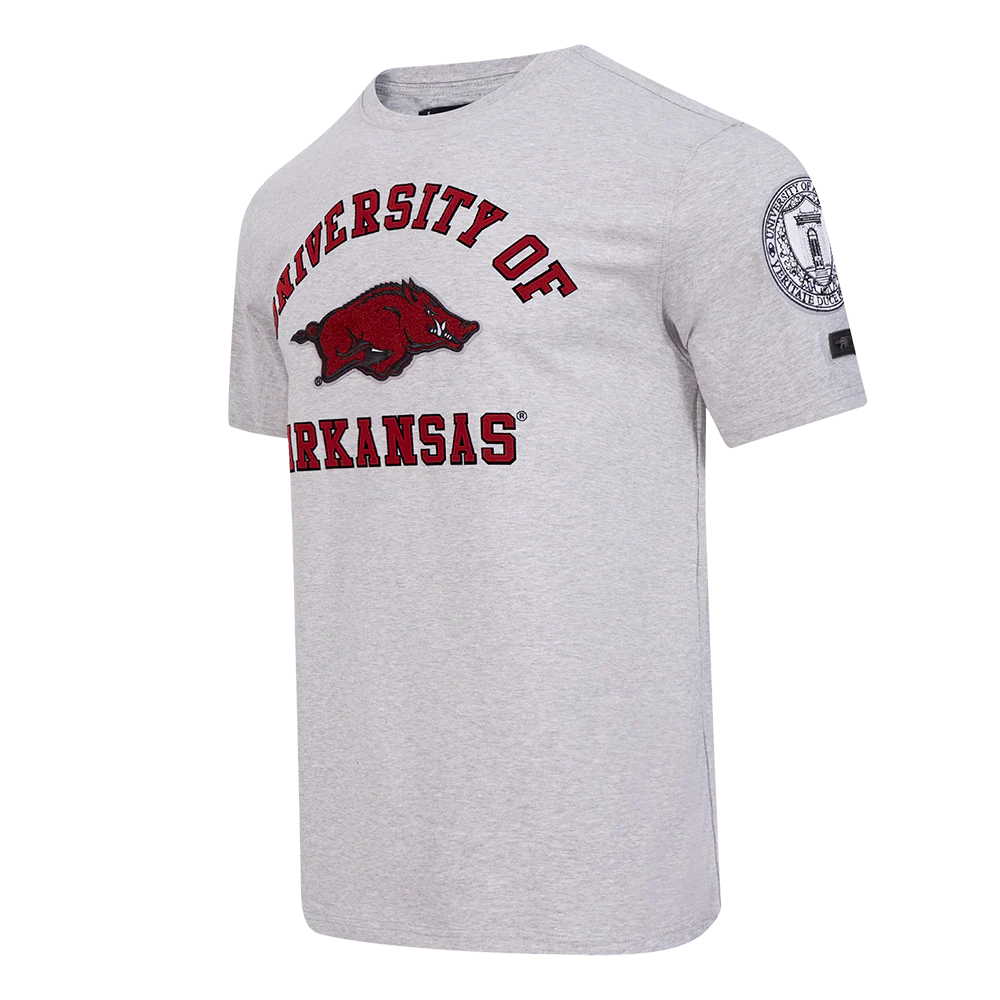 UNIVERSITY OF ARKANSAS CLASSIC MEN'S STACKED LOGO TEE