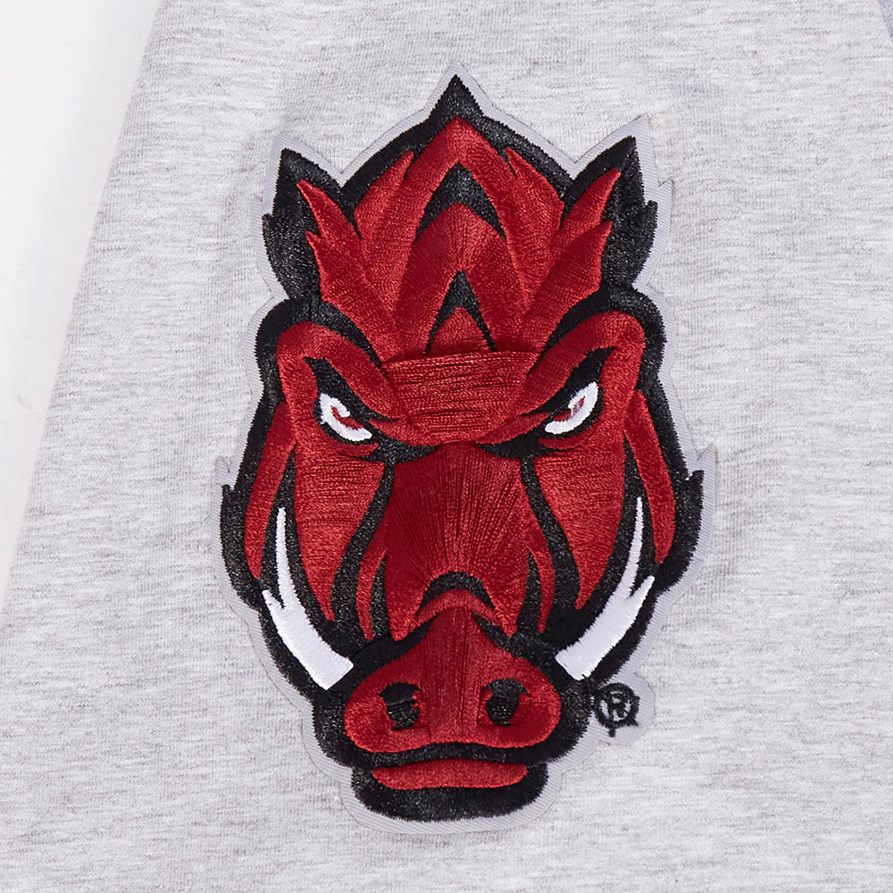 UNIVERSITY OF ARKANSAS CLASSIC MEN'S STACKED LOGO TEE