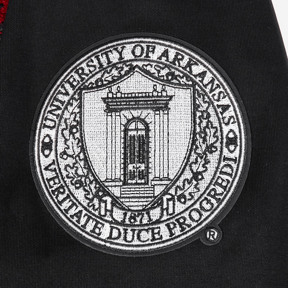 UNIVERSITY OF ARKANSAS CLASSIC MEN'S PULLOVER HOODIE