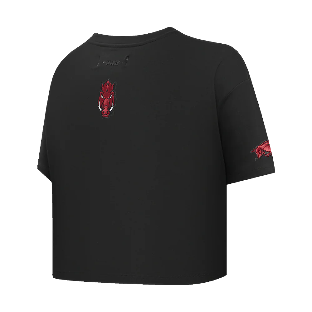 UNIVERSITY OF ARKANSAS FAYETTEVILLE CLASSIC WOMEN'S SINGLE JERSEY BOXY TEE