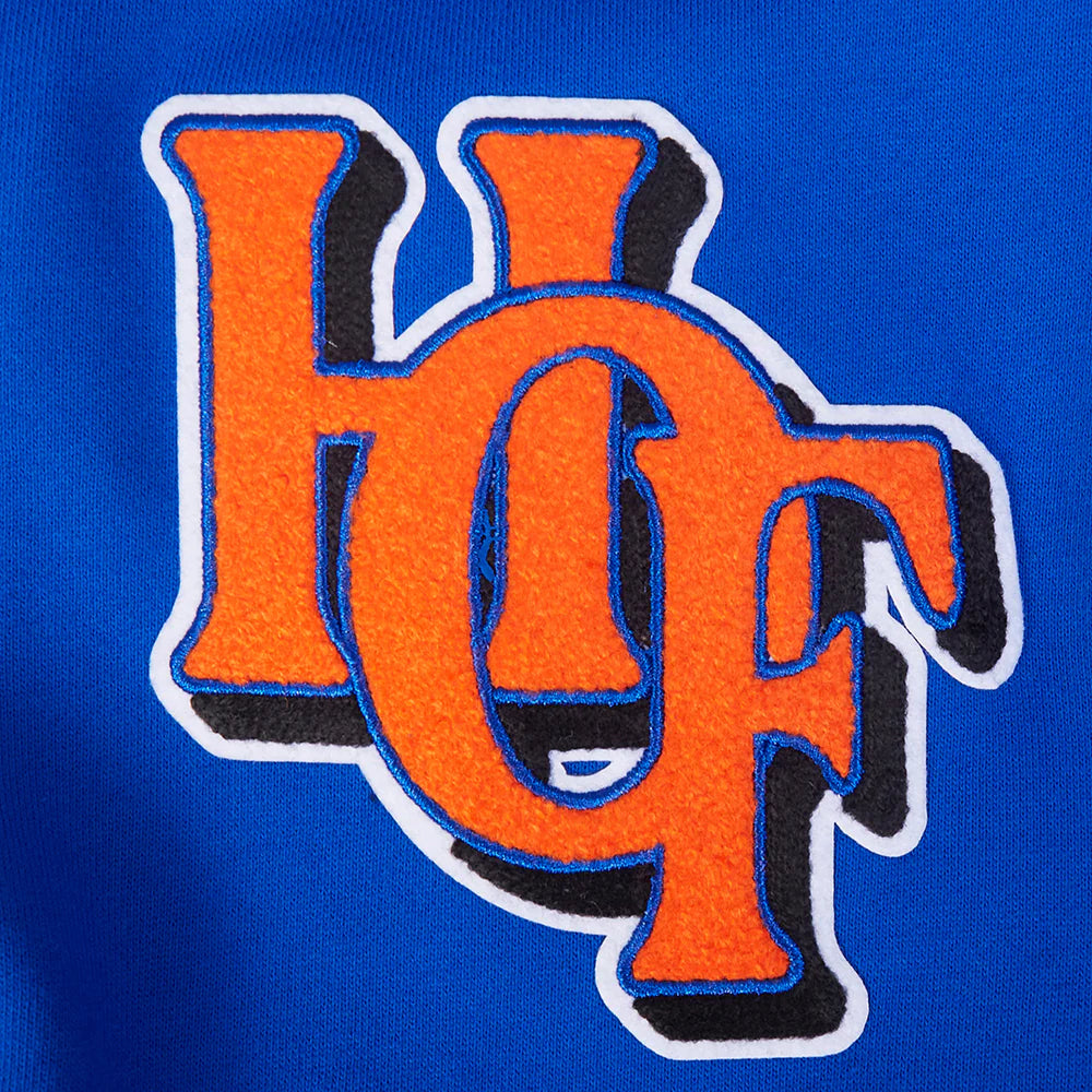 FAMOUS NOBODYS HALL OF FAME MEN'S DROP SHOULDER FLC PO HOODIE