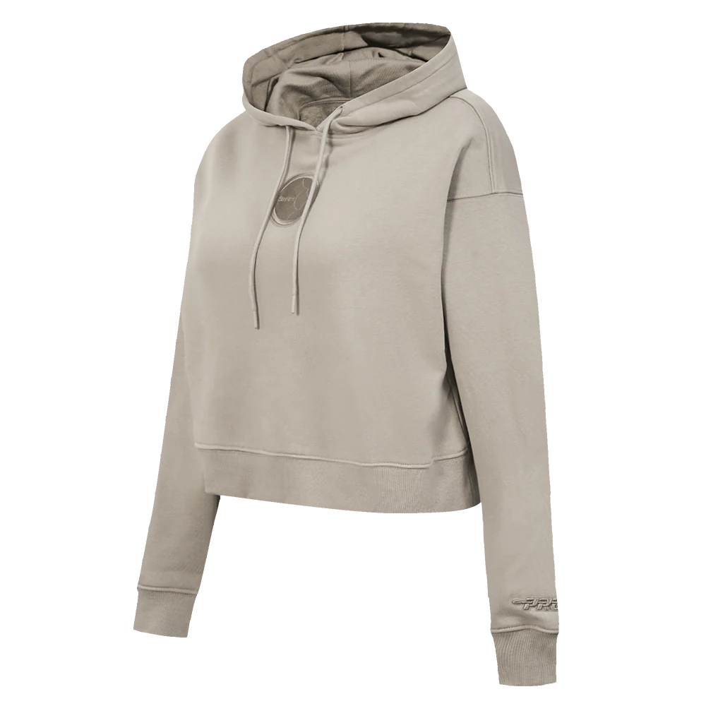 NFL PITTSBURGH STEELERS WINGSPAN WOMEN'S FLC CROPPED PO HOODIE