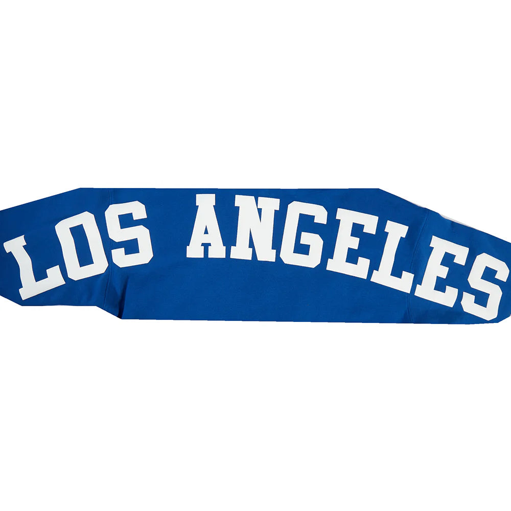 MLB LOS ANGELES DODGERS WINGSPAN MEN'S DROP SHOULDER FLC PO HOODIE V