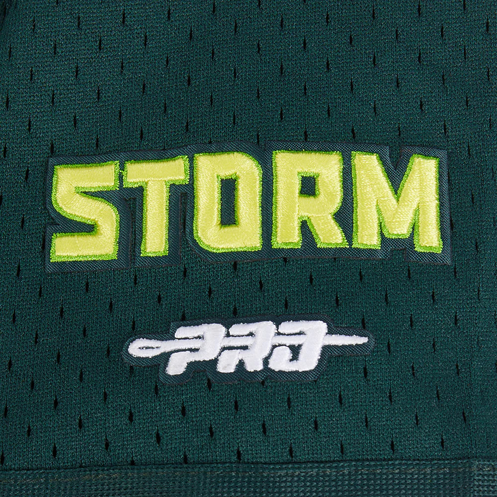 WNBA SEATTLE STORM CLASSIC MESH BIG BOY'S BUTTON DOWN SHIRT