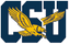  Coppin state university