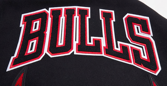 Chicago Bulls icon